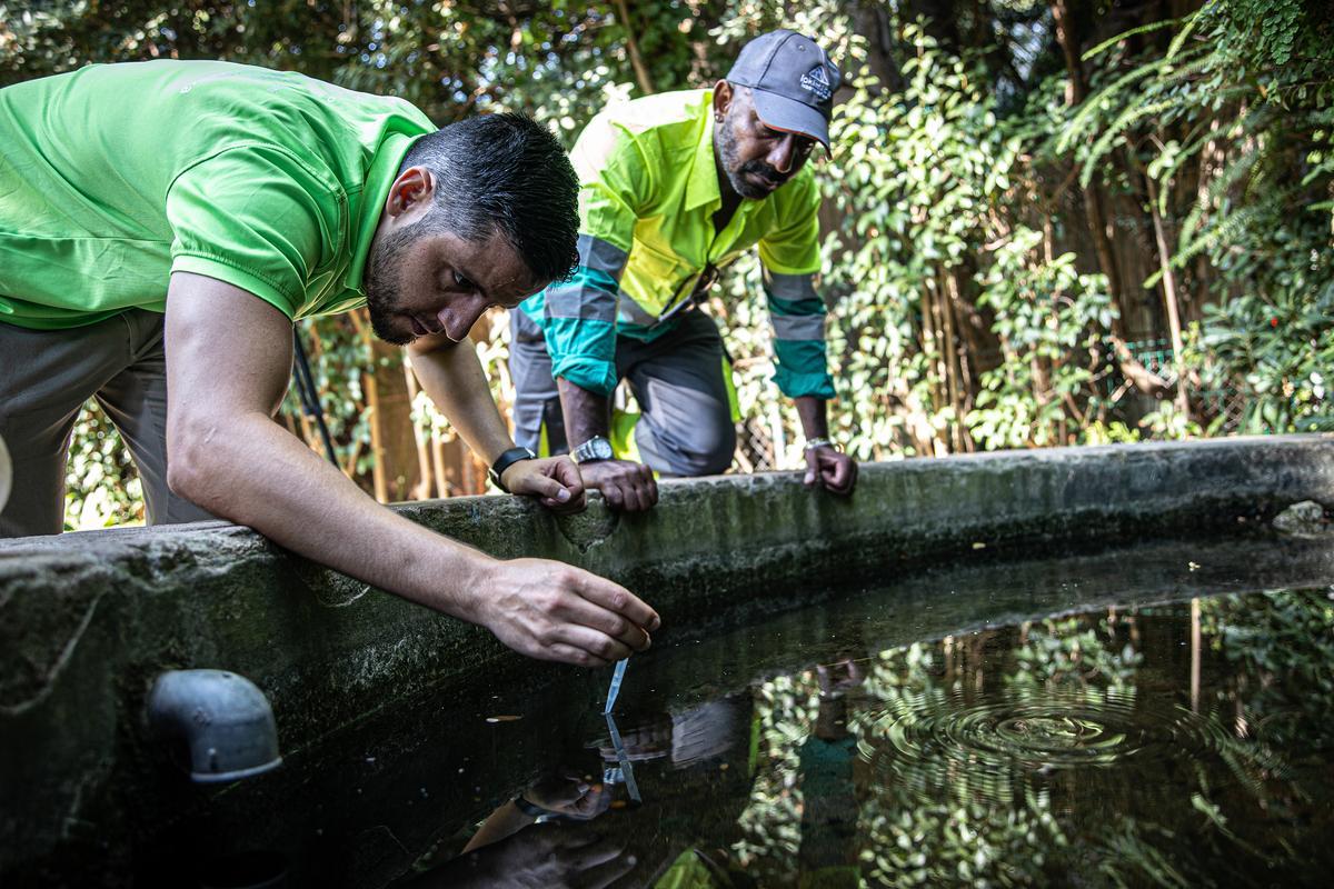 Recogida de muestras de agua para tratar de encontrar presencia de larvas de mosquito