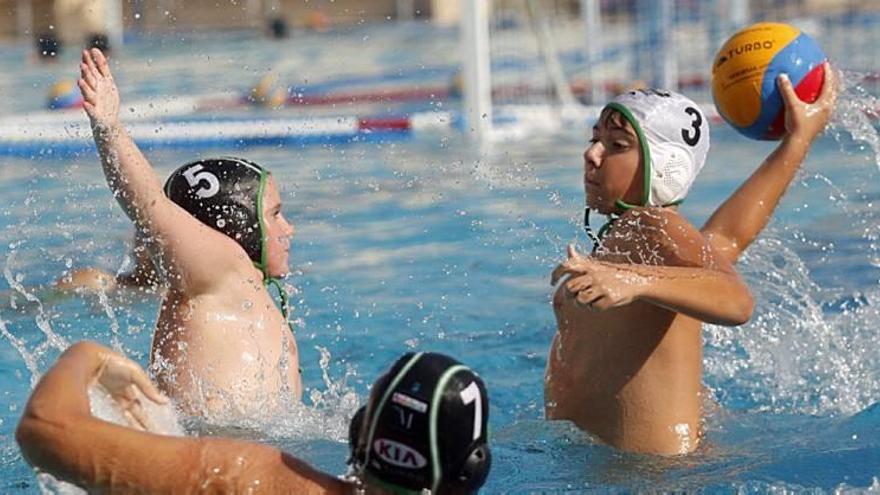 La piscina Murcia Parque acoge  a 500 jugadores