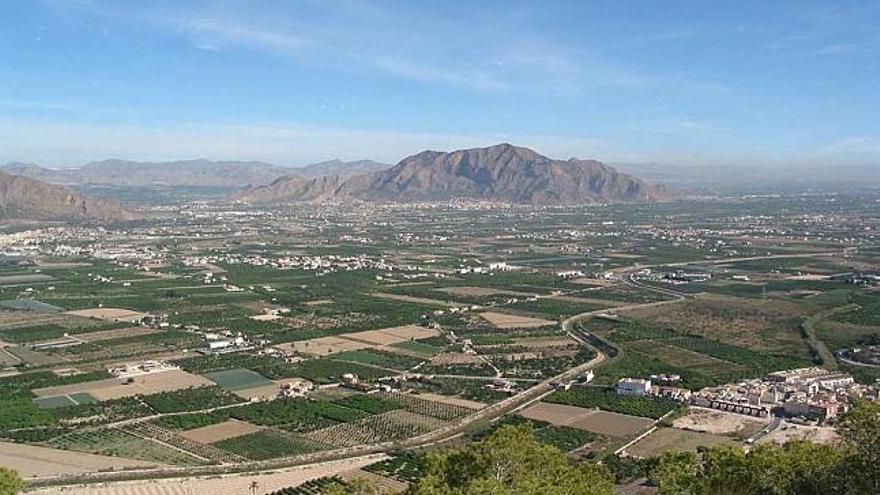 La huerta de la Vega Baja representa la mitad de la plantación de cítricos en Alicante.