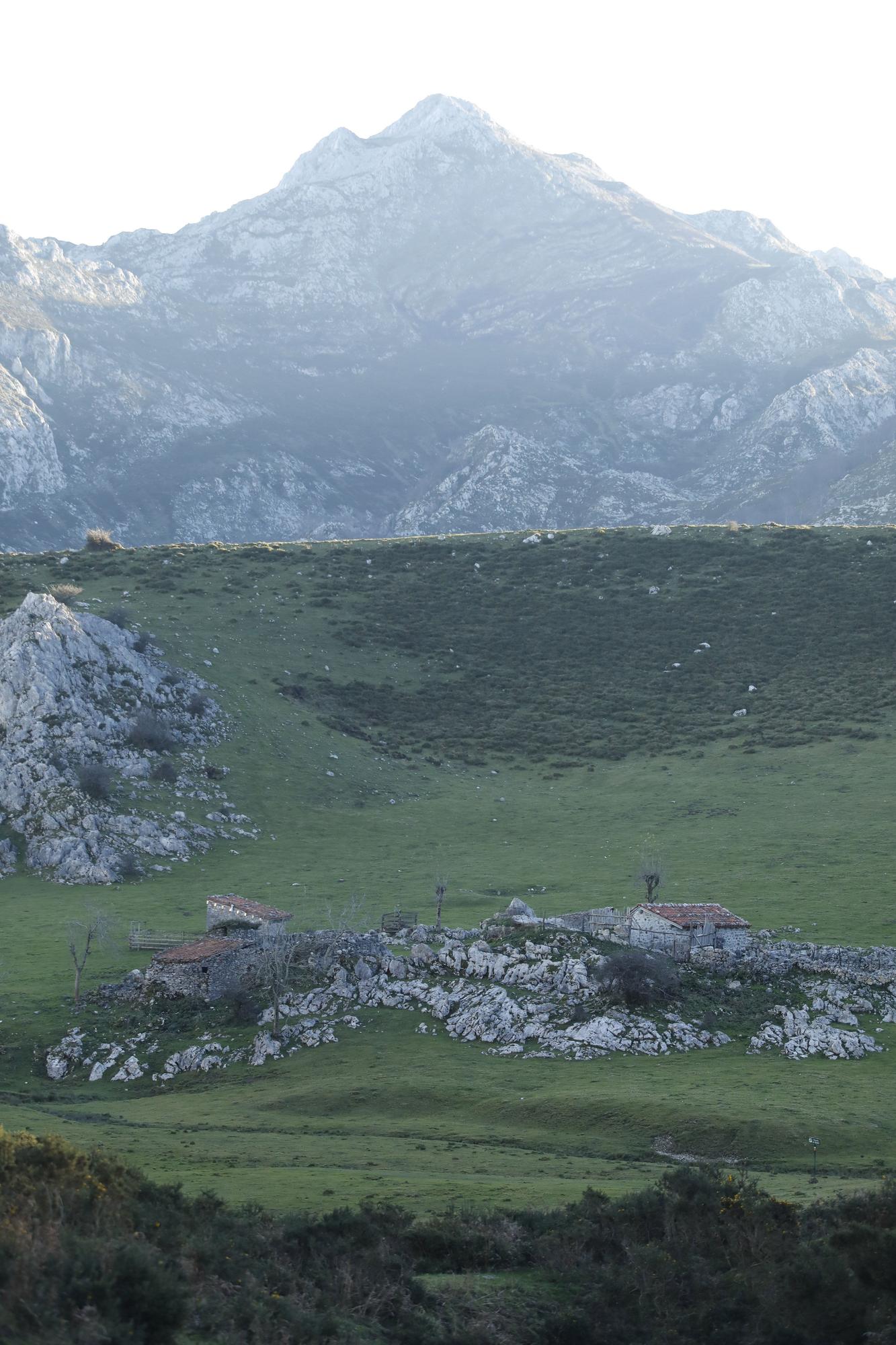 La majada de Belbín (Onís).