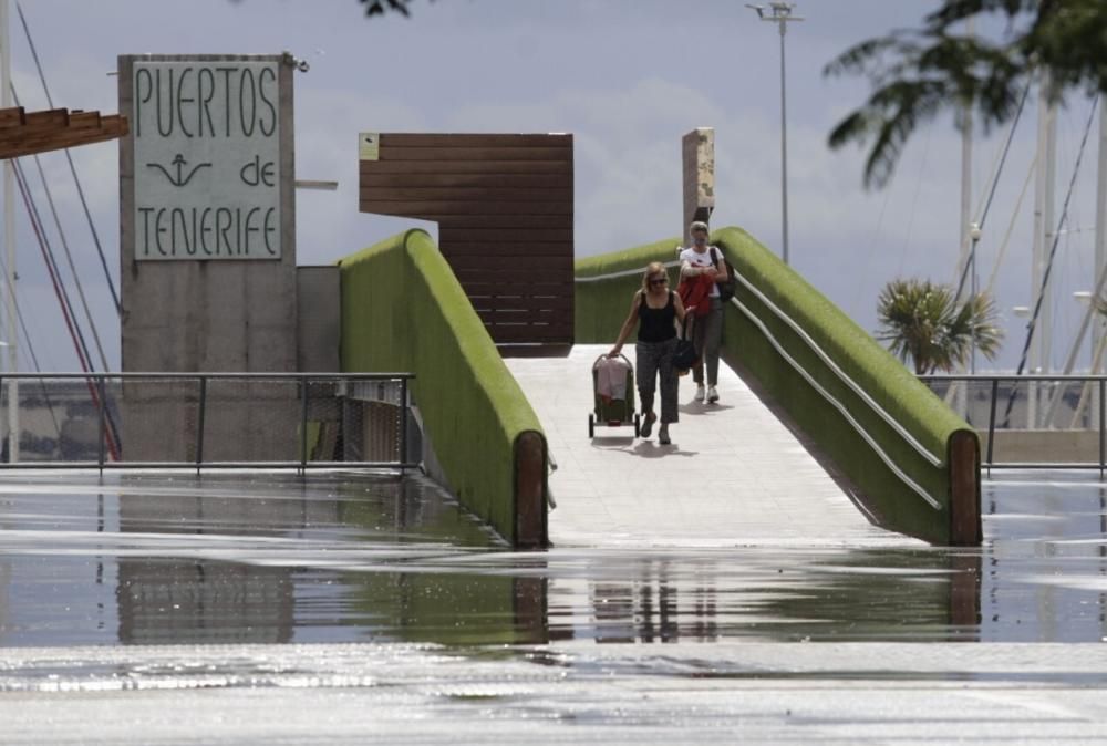 Paseos por La Laguna y Santa Cruz