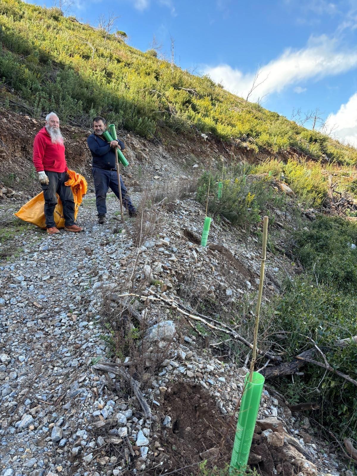 Alhaurín de la Torre apuesta por la repoblación de su sierra en una zona afectada por un grave incendio en 2022