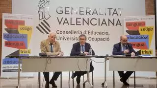 El valenciano se impone en la mayoría de comarcas en la consulta de la lengua escolar