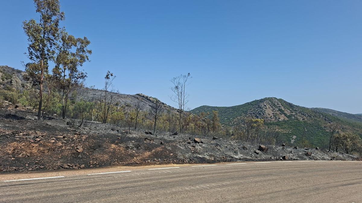 Fotogalería | Las consecuencias del incendio de Herrera del Duque, en imágenes Fotogalería | Las consecuencias del incendio de Herrera del Duque, en imágenes
