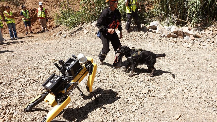 Robots de rescate diseñados en la UMA participan en un ejercicio práctico con perros autómatas