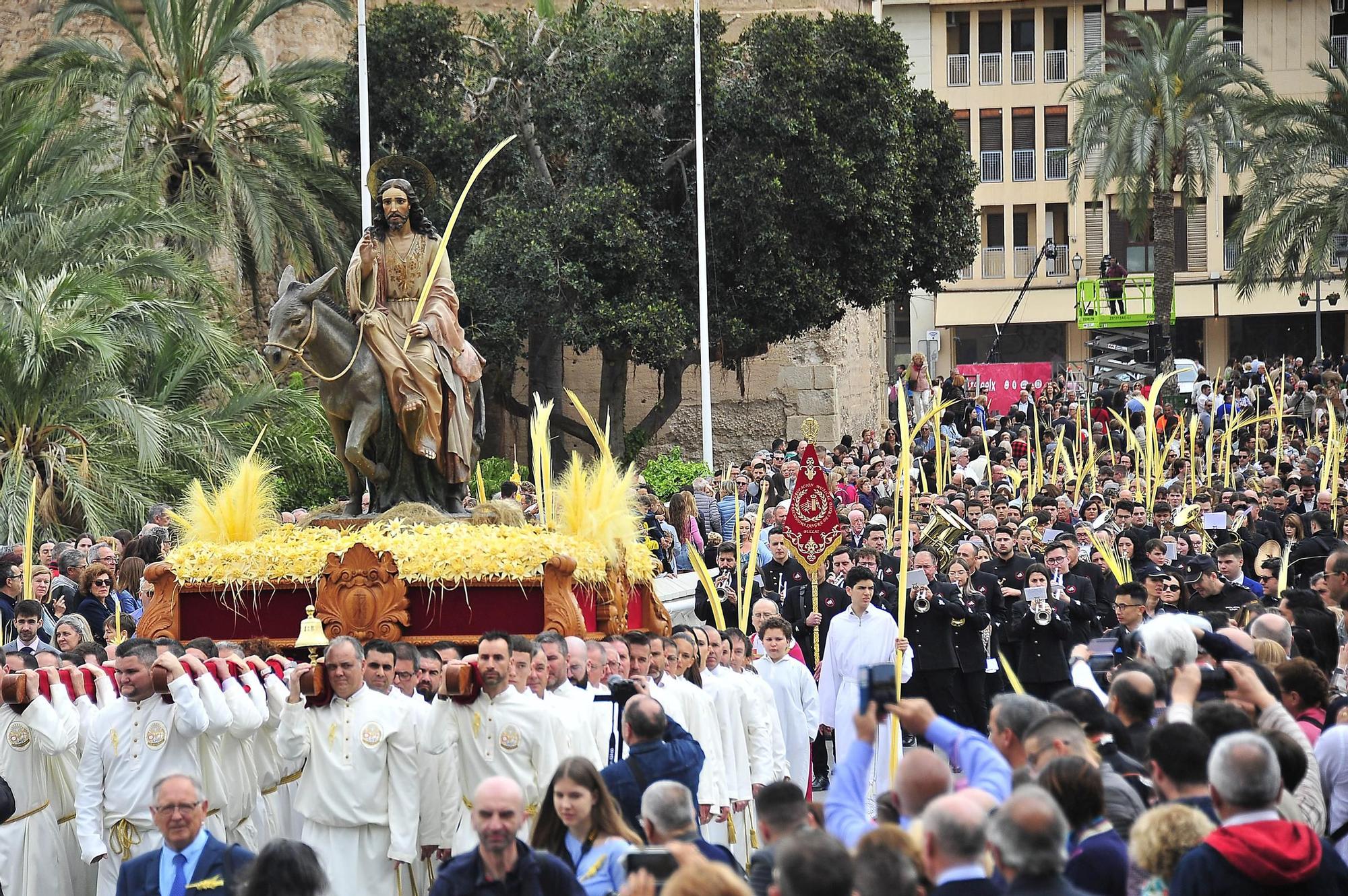 Miles de palmas blancas llenan Elche de tradición