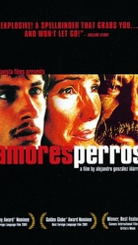 Amores perros