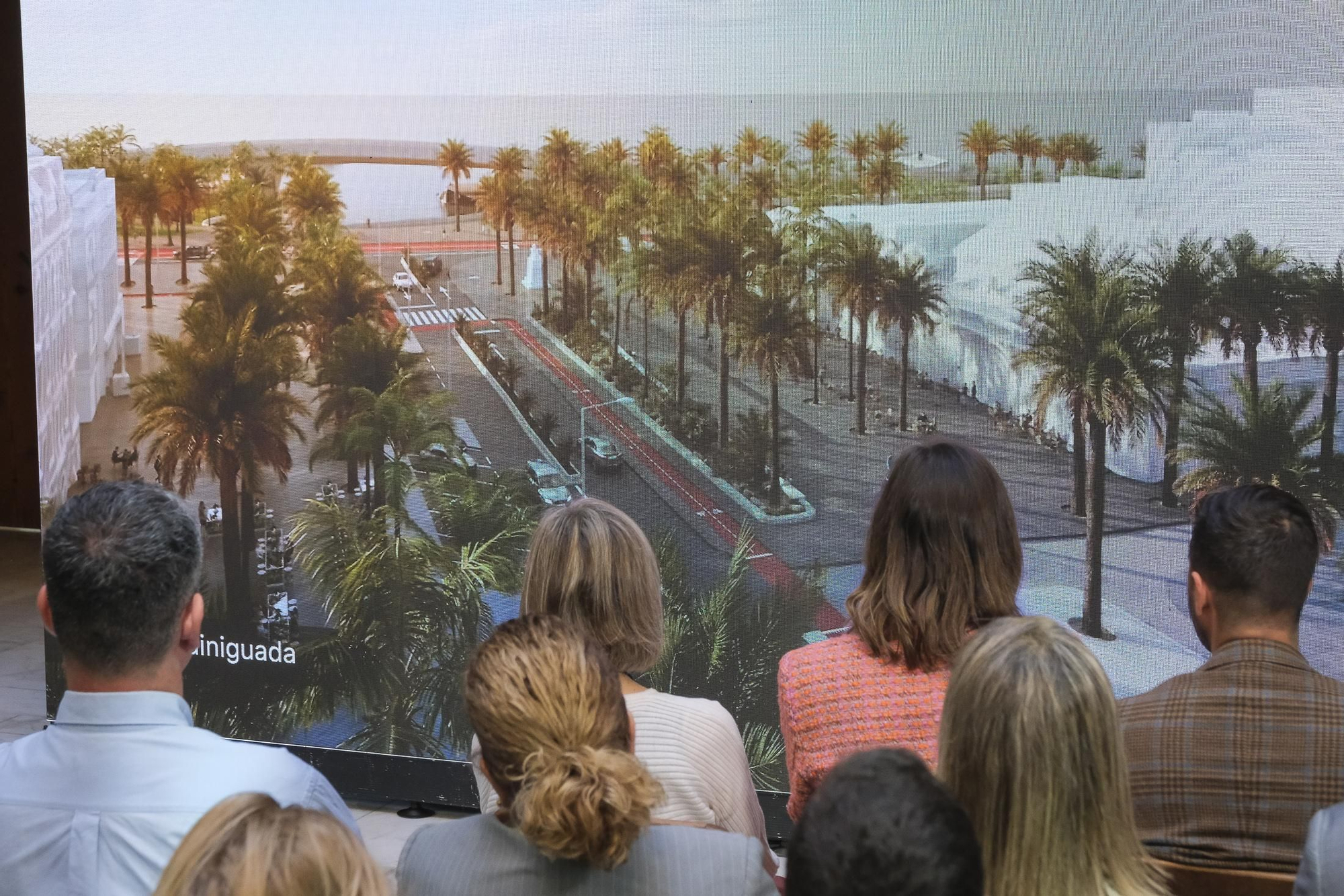 Presentación de anteproyectos finalistas del paseo Guiniguada