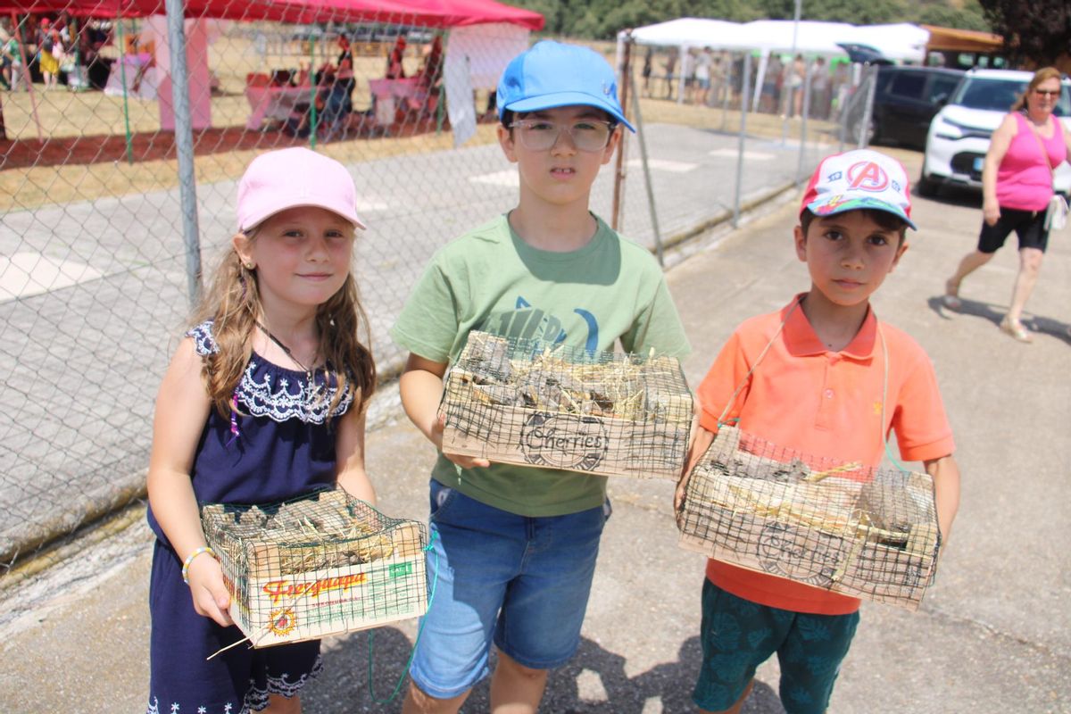 Tres años de reivindicación por la Sierra de la Culebra