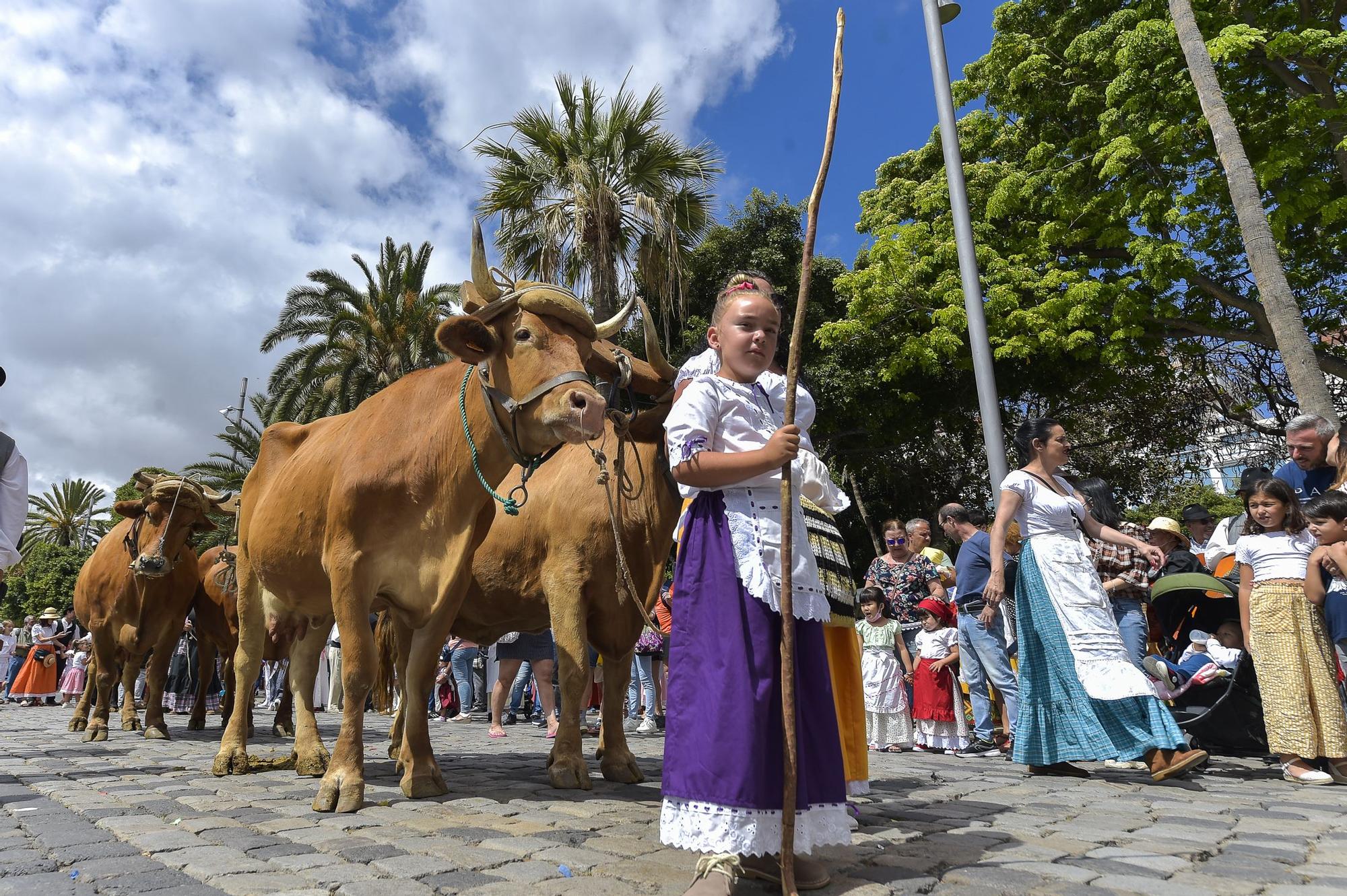 Romería por el Día de Canarias en Las Palmas de Gran Canaria (30/05/22)