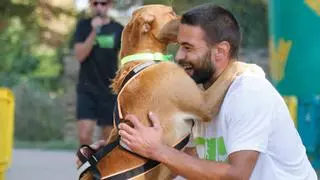 Tener una mascota tiene un beneficio anual de más de 80.000 euros en términos de satisfacción