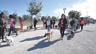 La II Andada Canina y Familiar Kalibo reúne en el Parque del Agua a más de 850 perros