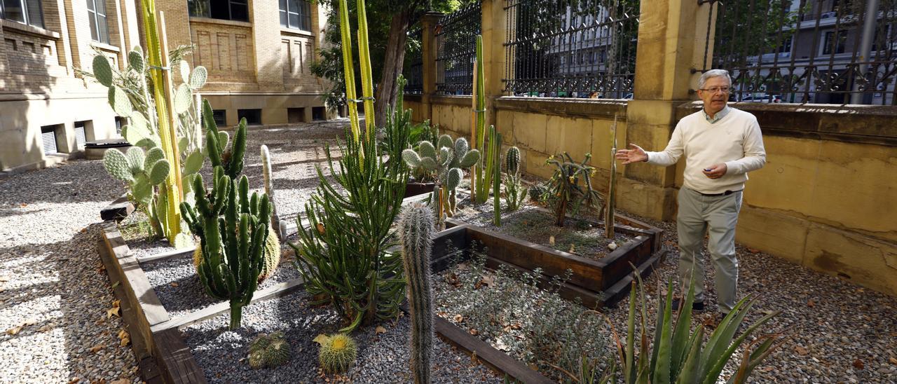 Los cactus del jardín que da a Gran Vía son propiedad de Serón y algunos tienen décadas de vida.