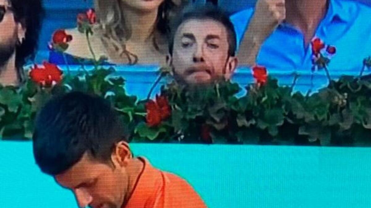 Pablo Motos, intentando ver el partido tras Djokovic y las plantas.