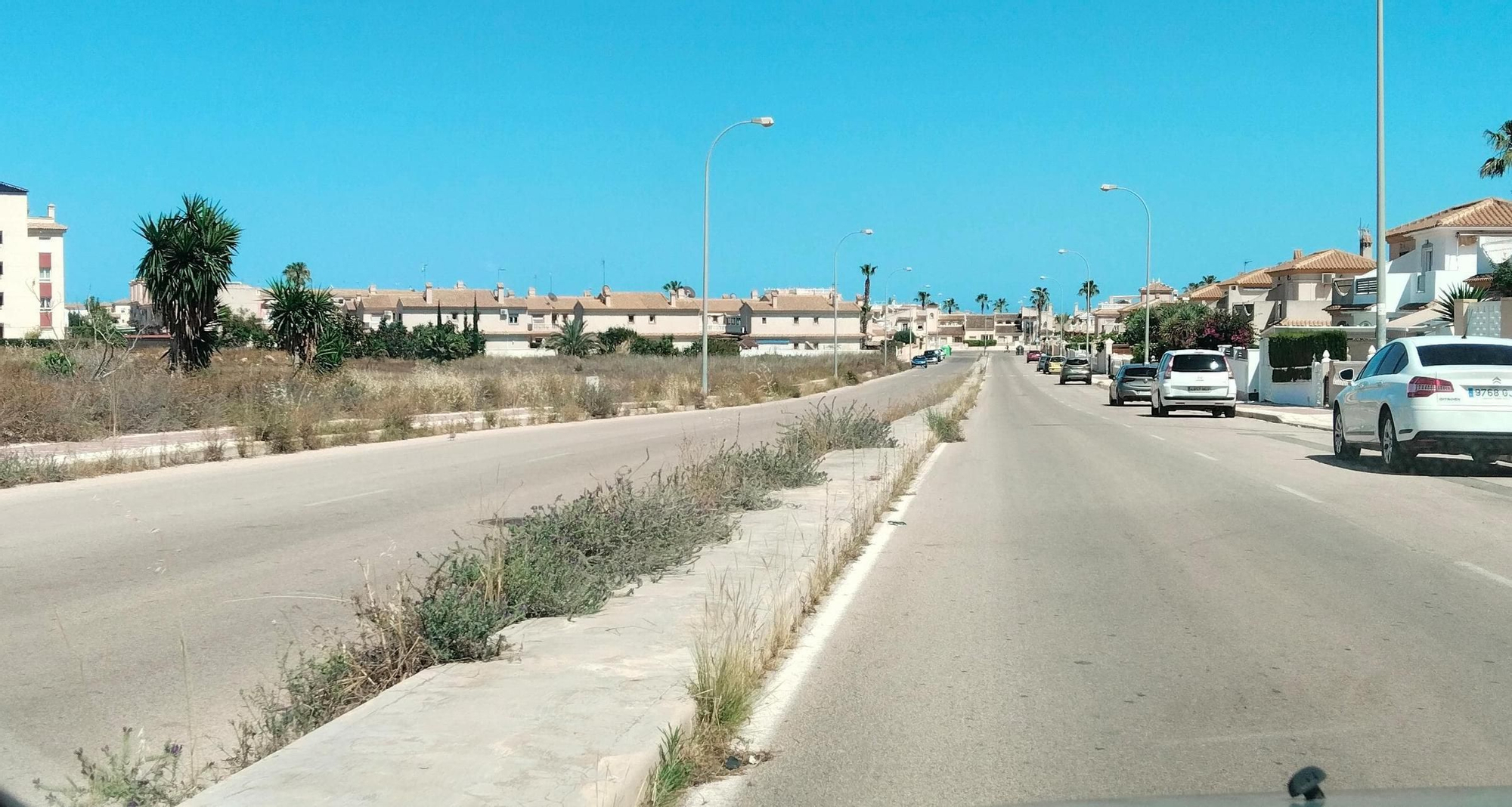 Una jungla sobre el asfalto de Orihuela Costa
