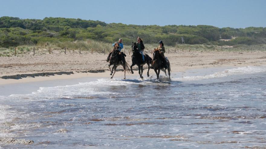 Reiten auf Mallorca - vier Ausritte wie bei Bibi und Tina