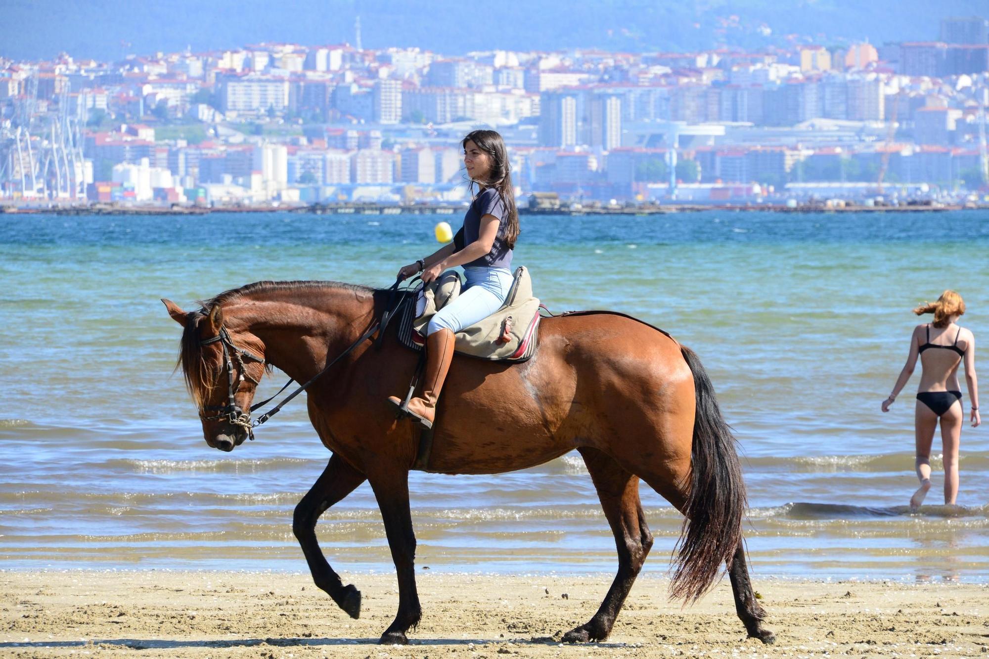 Una espectacular jornada a caballo por Moaña (I)
