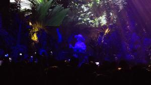 Björk, en el frondoso bosque desde el que ofició de ’dj’ en el Sónar.