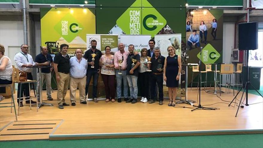 Abaex entrega sus premios en covap