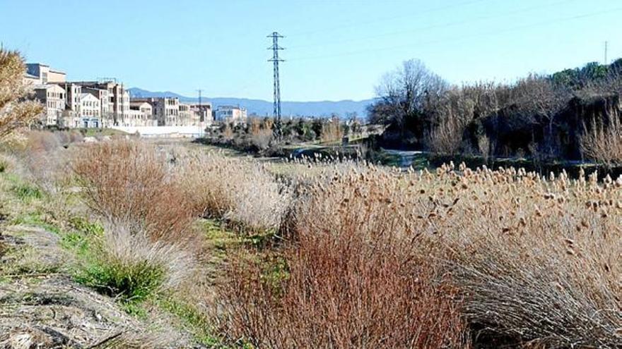 Tram del riu Anoia al seu pas per Igualada