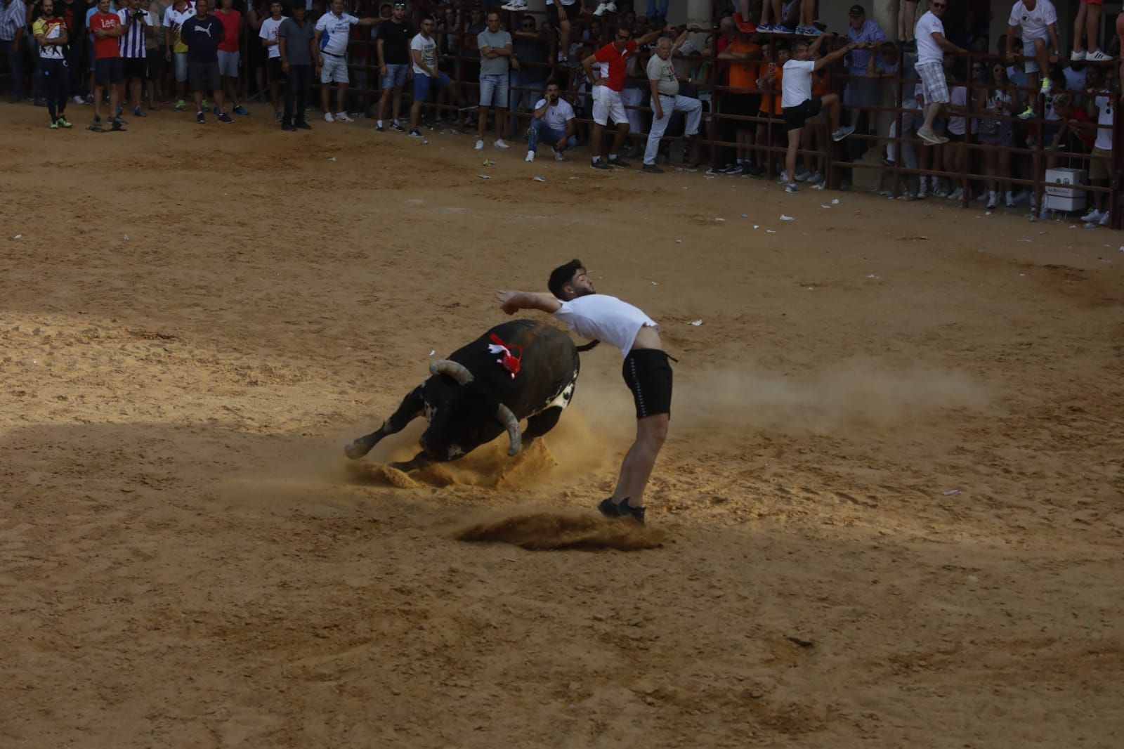 GALERIA | Así vivió Villalpando el XV Toro de la Juventud de Astauvi