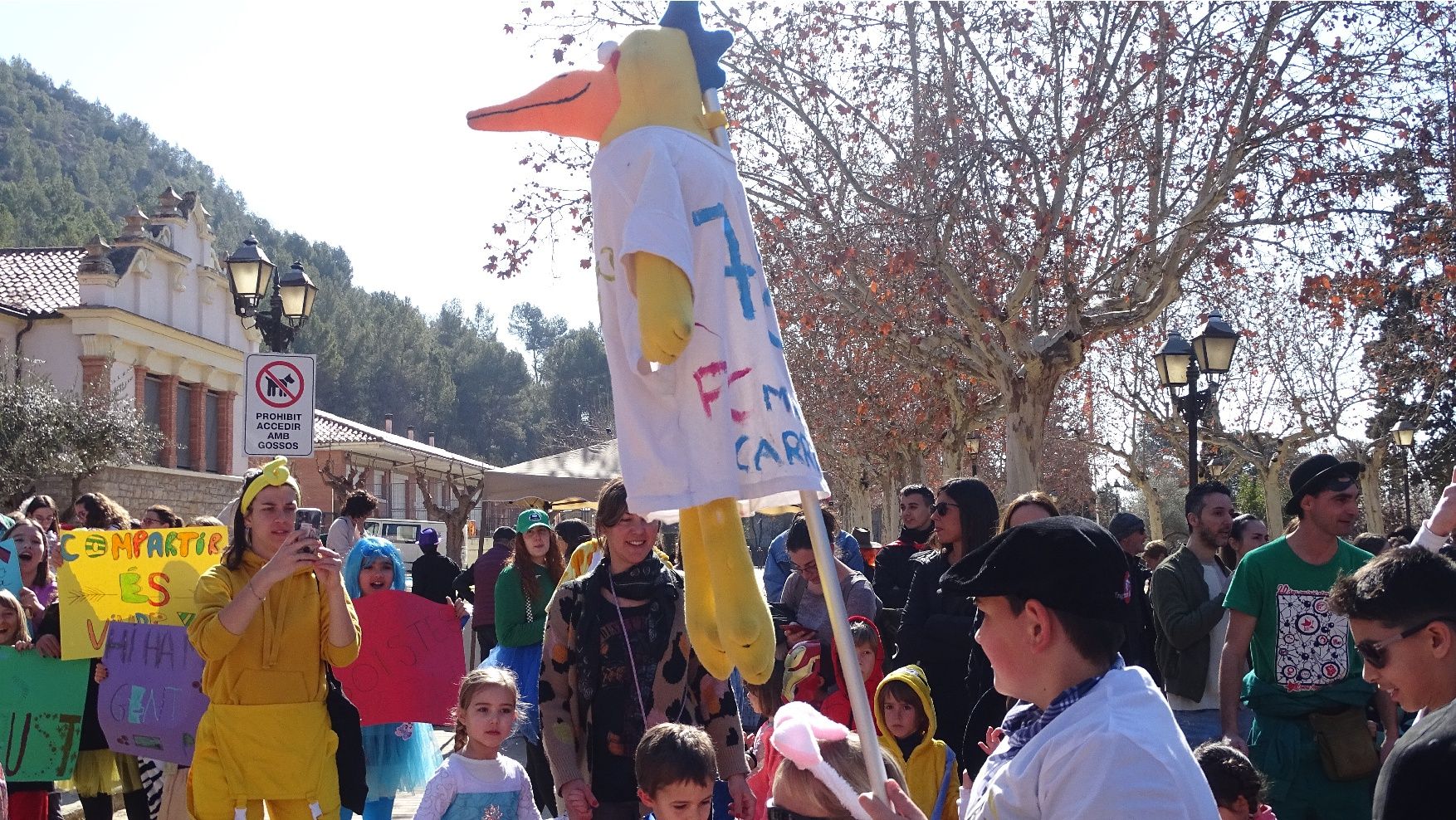 Troba't a les fotos del Carnaval infantil de Sallent