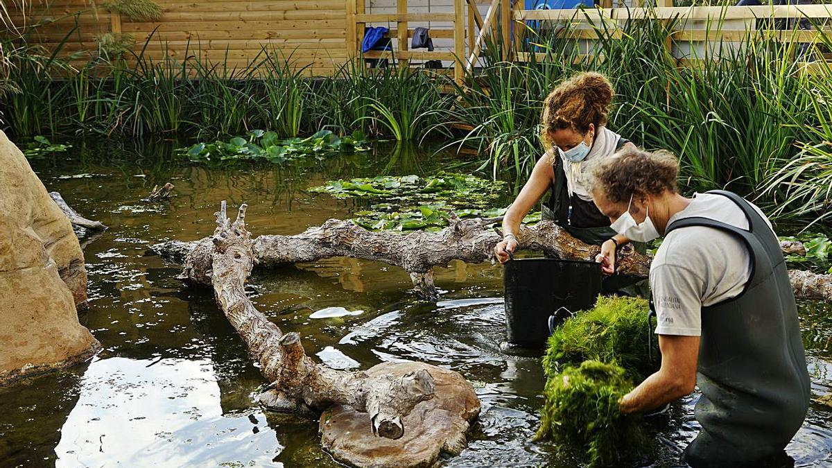 Humedals, aigua i Oceanogràfic |