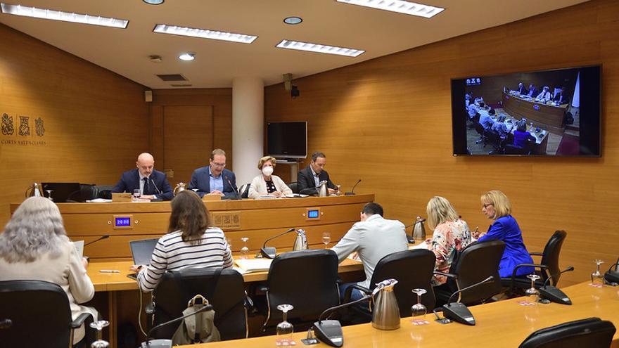 Comisión de las Corts sobre la deuda valenciana