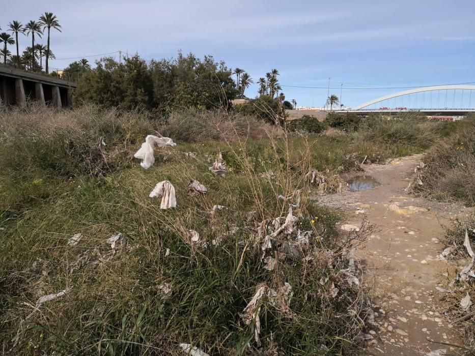 El Vinalopó, en Elche, invadido por toallitas y es