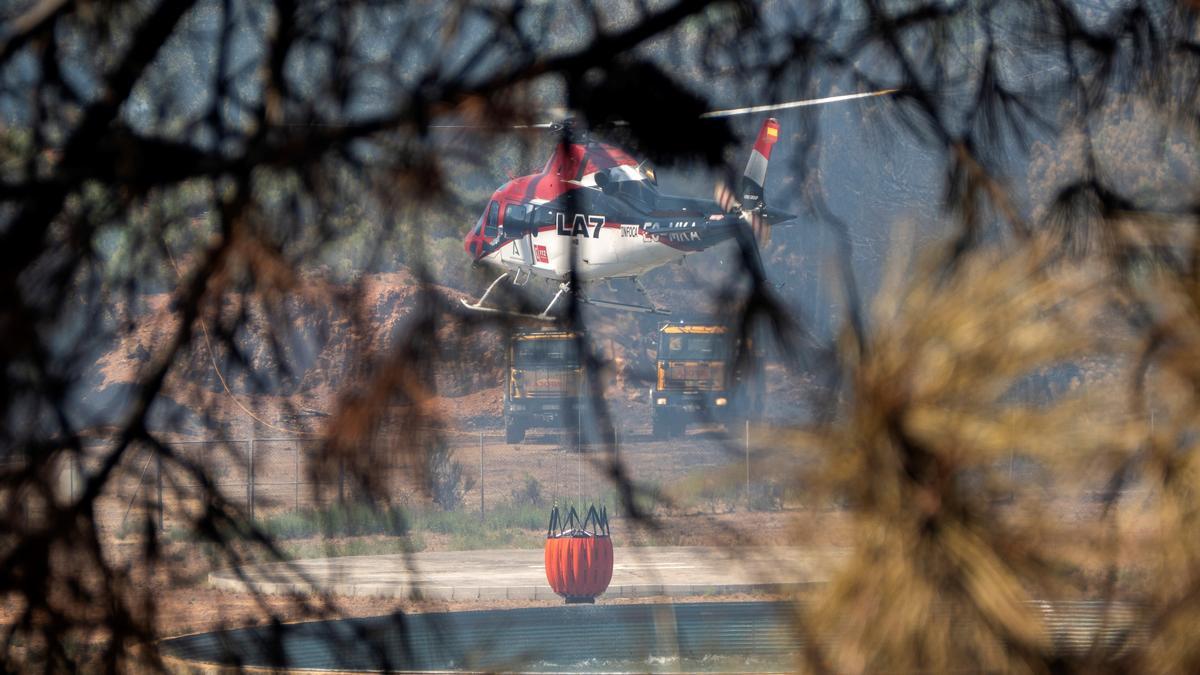 Un incendio en Sierra Bermeja provoca el desalojo de un millar personas en Estepona, Jubrique y Genalguacil