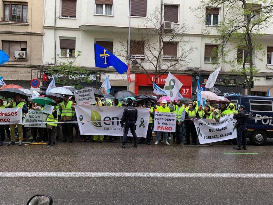 Los trabajadores de Ence llevan sus protestas a Ferraz