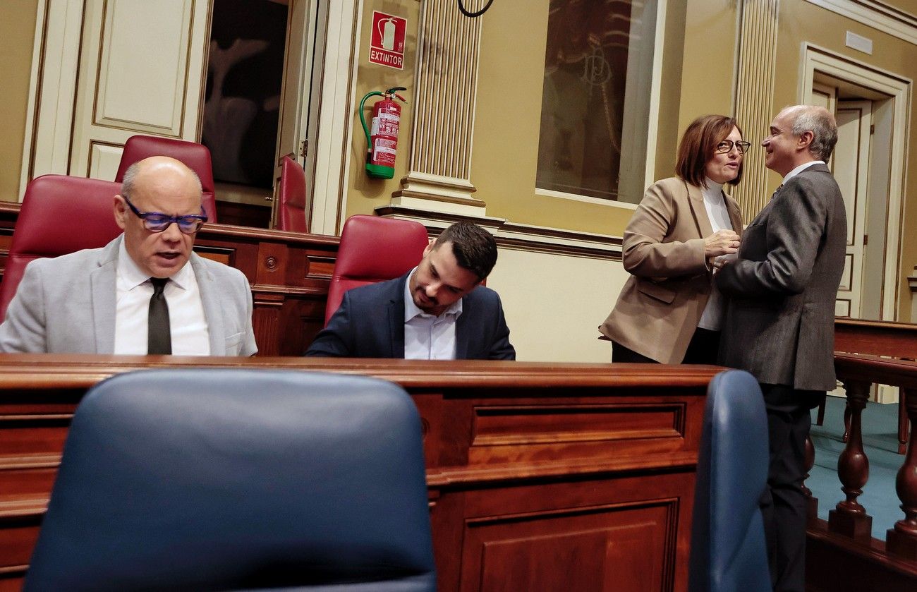 Pleno Extraordinario del Parlamento de Canarias (17 de enero de 2024)