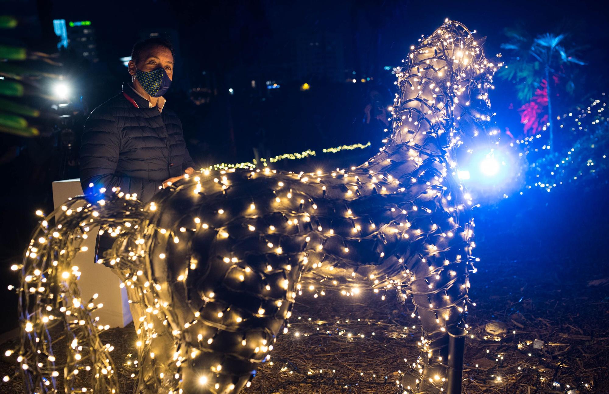 Estreno del espectáculo 'Naturaleza Encendida' en el Palmetum