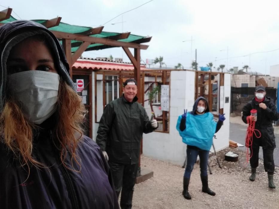 Voluntarios en el albergue municipal de animales de Torrevieja