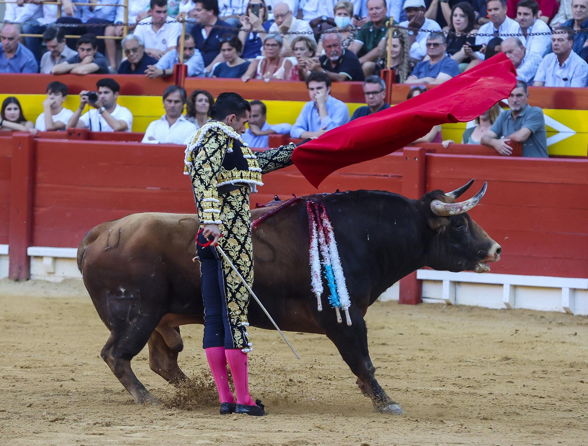 La quinta de la Feria de Hogueras