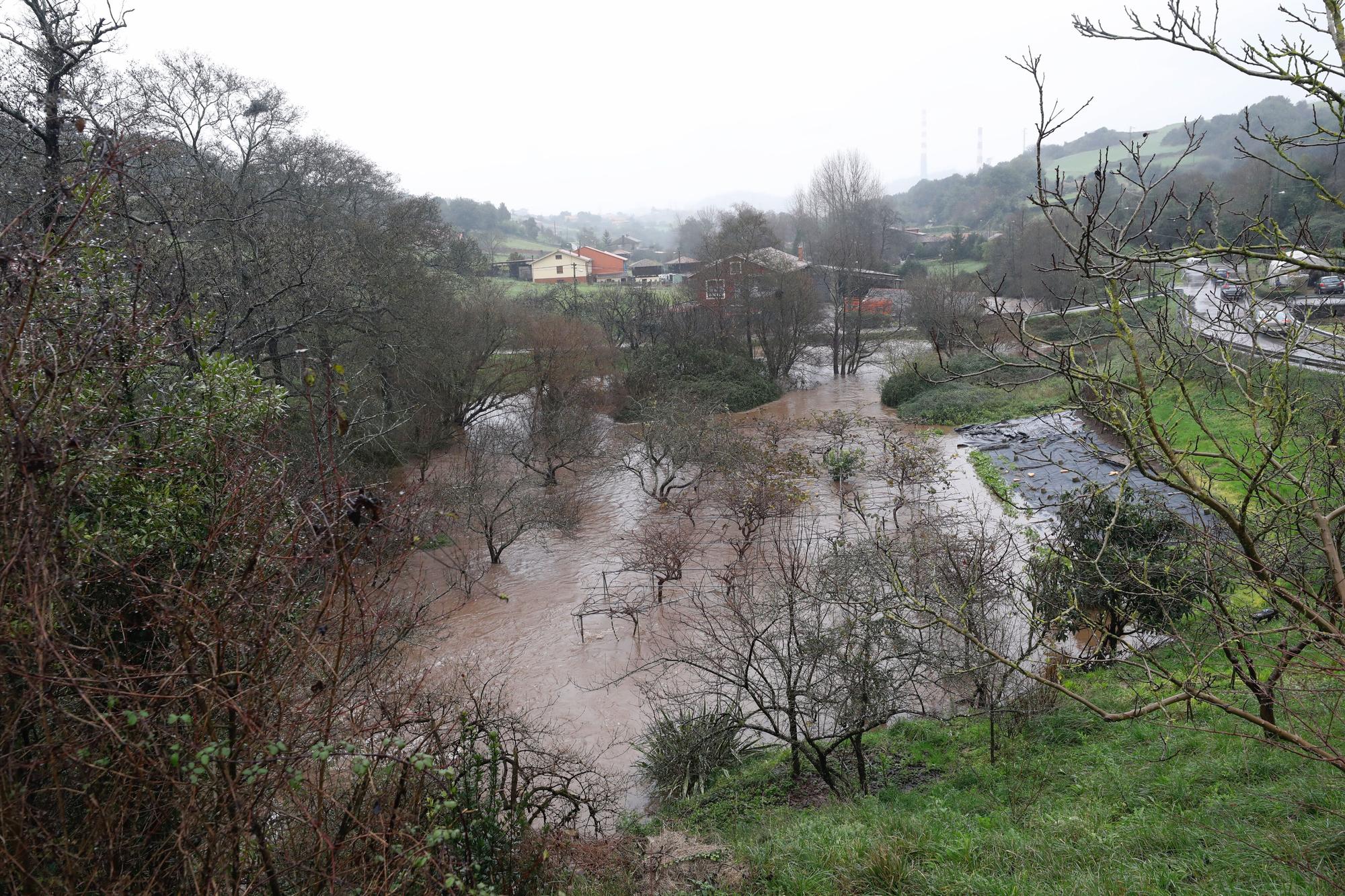 Temporal en Carreño