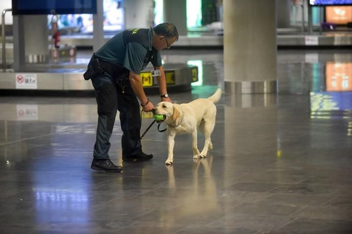 REPORTAJE UNIDAD CANINA AEROPUETO DE GRAN CANARIA