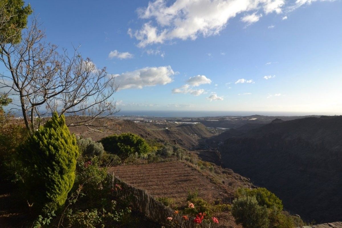 Un paseo por la finca Justus Franz