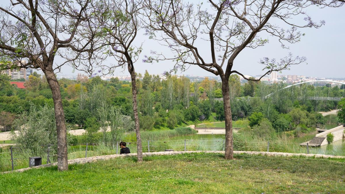 Zona verde en València.