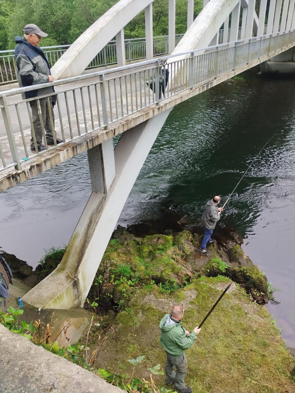 Muchos pescadores y pocos salmones en el Narcea a su paso por Salas, en imágenes Muchos pescadores y pocos salmones en el Narcea a su paso por Salas, en imágenes