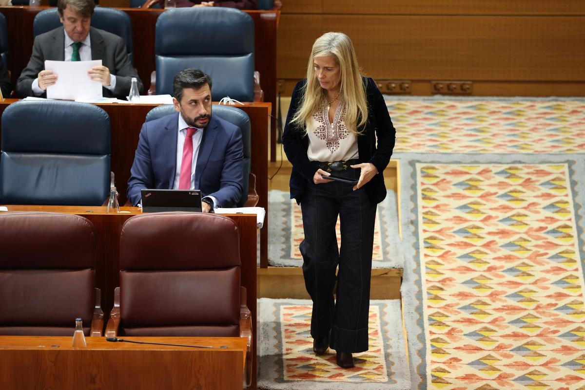 El portavoz del PP en la Asamblea de Madrid, Carlos Díaz-Pache, y la consejera madrileña de Economía, Rocío Albert.