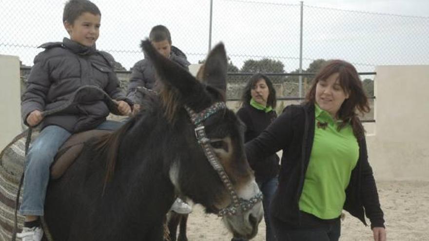 Visitantes del centro contemplan dos de los ejemplares.