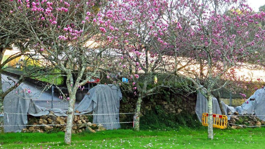 Parte derribada del muro de los jardines del Pazo Quiñones de León.