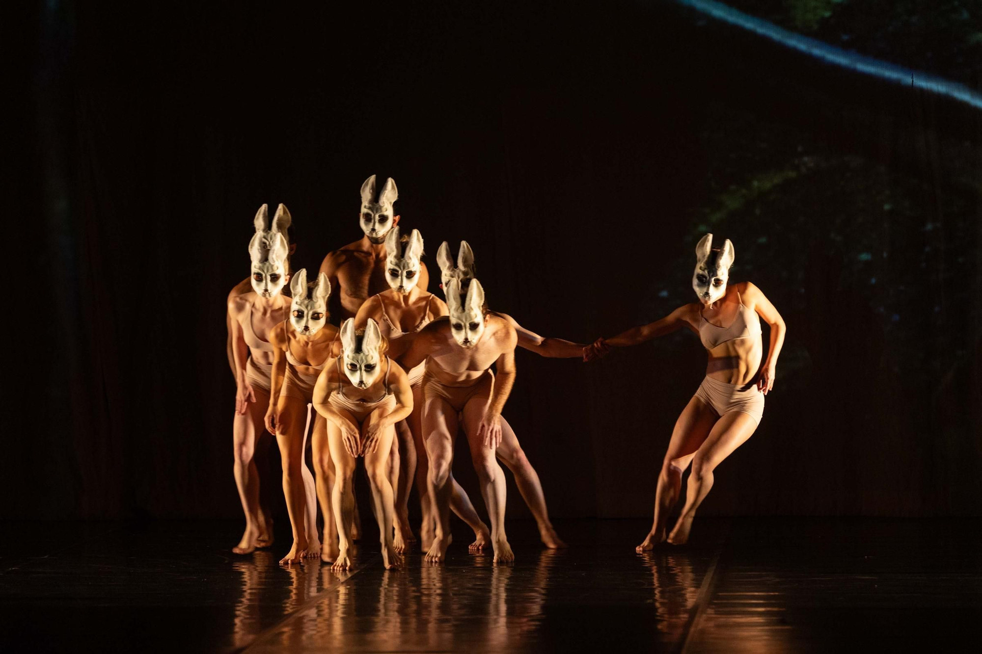 Momix presenta en A Coruña su nuevo espectáculo 'Alice'