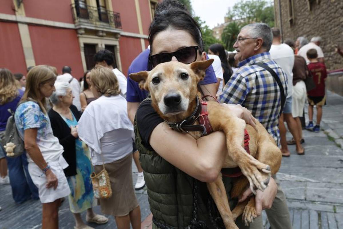 EN IMÁGENES: la bendición de San Roque a las mascotas en El Carbayedo, en Avilés