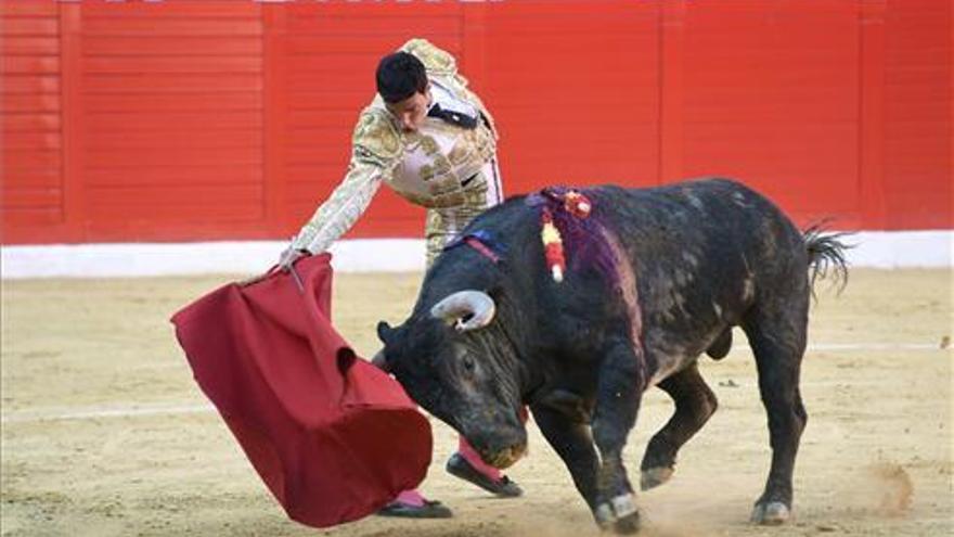 Los servicios económicos del ayuntamiento recomiendan no seguir con el concurso de los toros en Cáceres