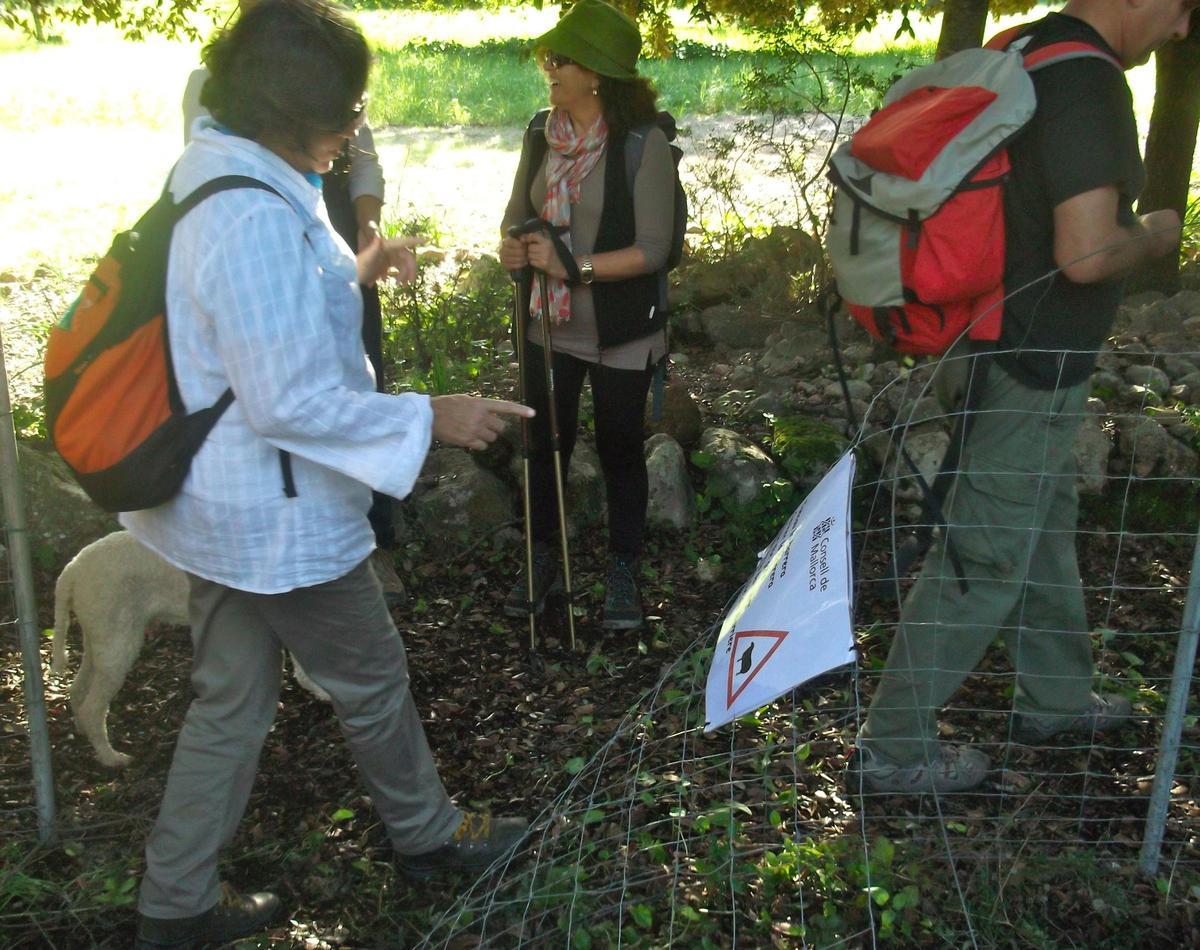 Imagen de una excursión reivindicativa celebrada en 2012 para reclamar el uso público de la carretera vieja de Lluc a Pollença.