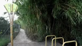 Una nueva senda verde discurre entre las pedanías de Murcia limítrofes con el río Segura