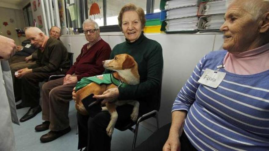 Usuarios de la asociación Afaga, ayer, durante su terapia con canes.  // Jorge Santomé