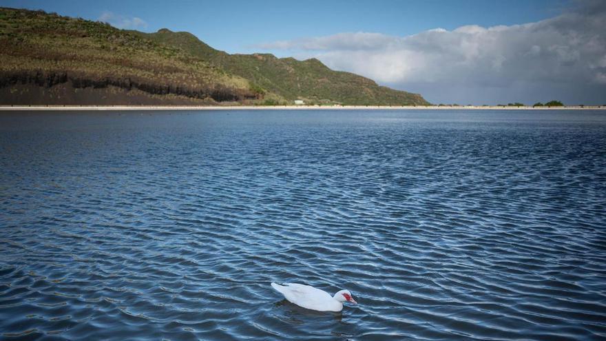 Storm Therese Rainfall Secures Tenerife’s Agricultural Water Supply for Six Months